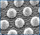 type-7 solder paste deposits